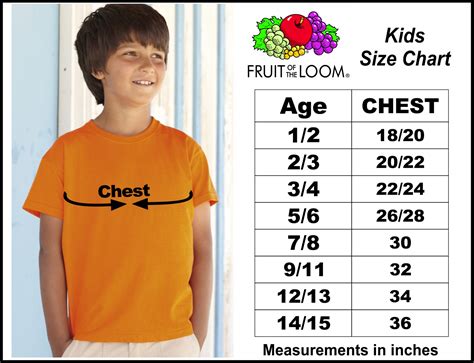 fruit of the loom size